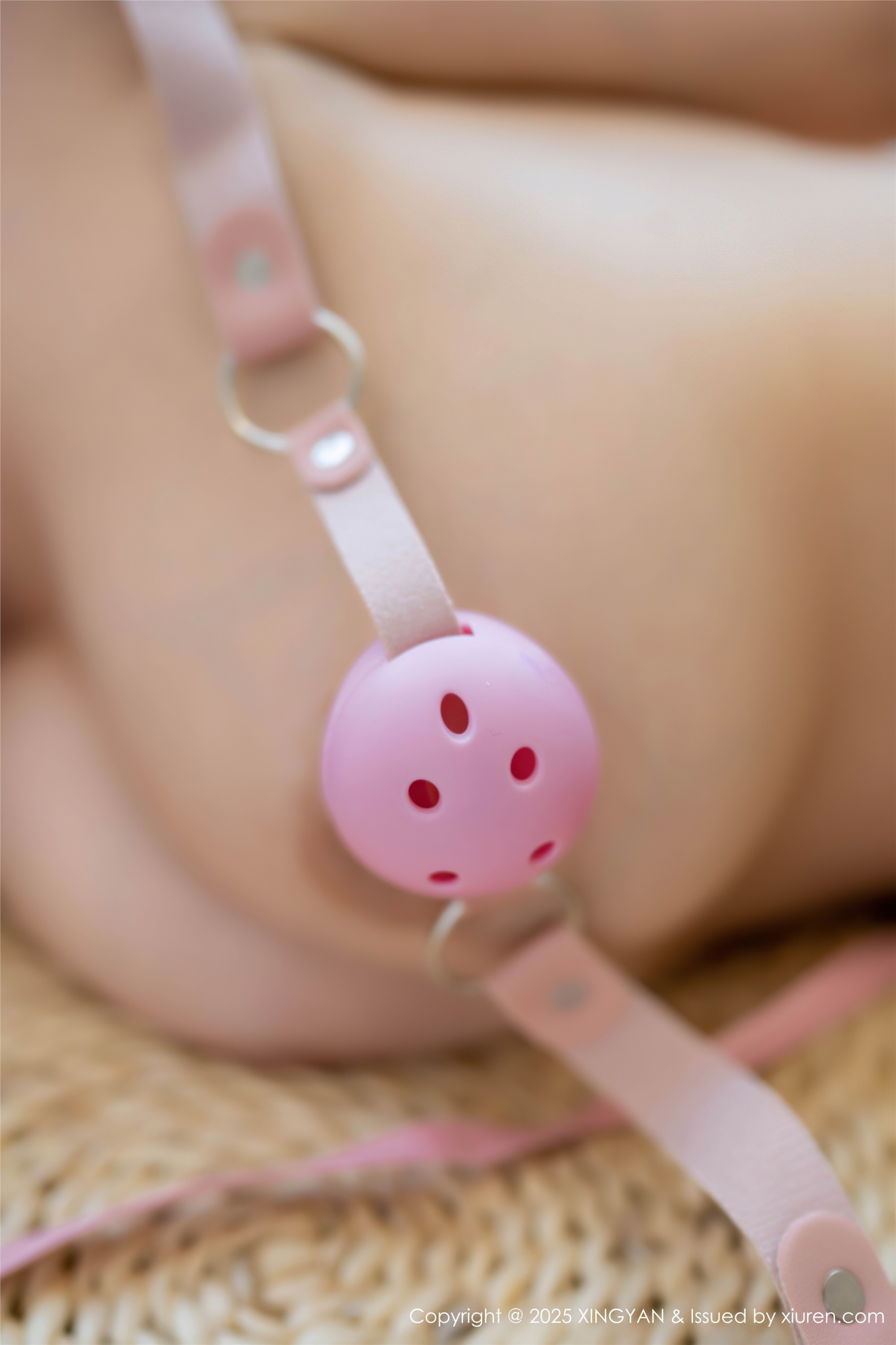 XINGYAN星颜社 2025.02.27 VOL.315 袁圆